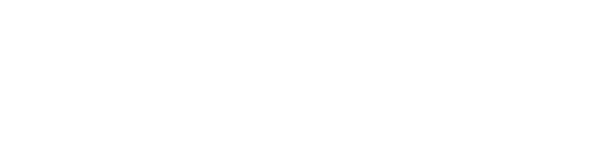 Story logo